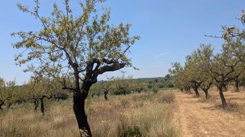 Photo 4 of Country homes for sale in 8, Vilanova d'Alcolea, Castellón