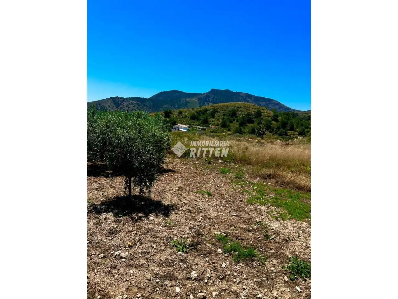 Rustikales Grundstück zum Verkauf in Pedanías Oeste, imagen 7