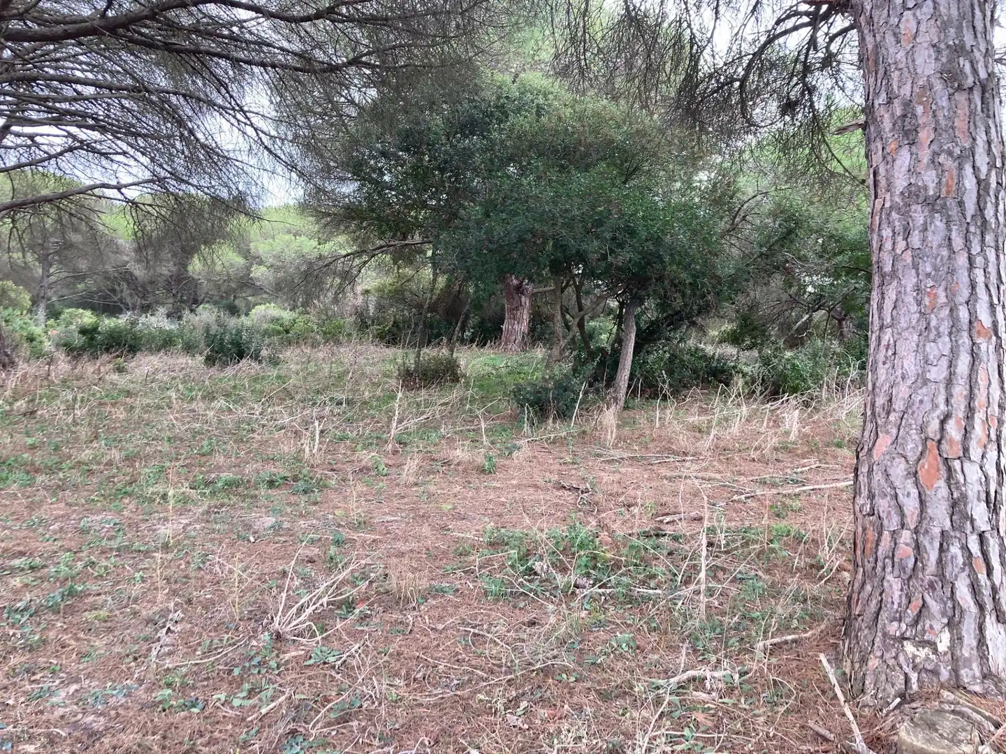 Grundstücke und Bauplätze zum Verkauf in Vejer, imagen 7