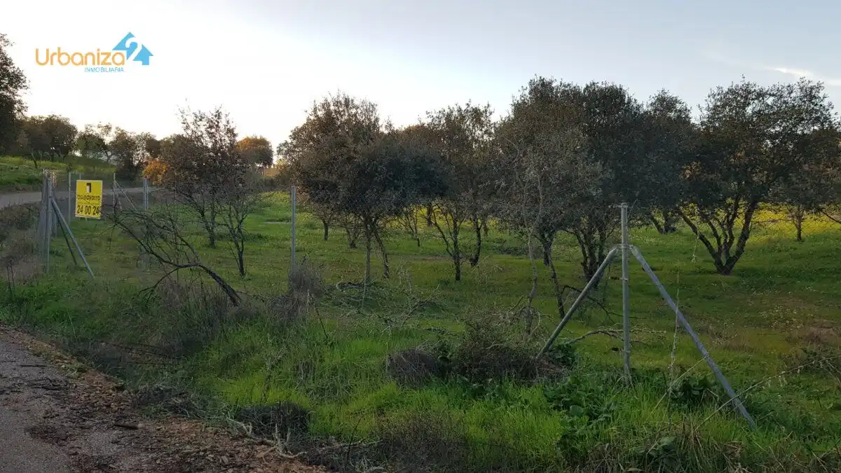 Terreni e lotti in vendita a Calle hortelano, imagen 6