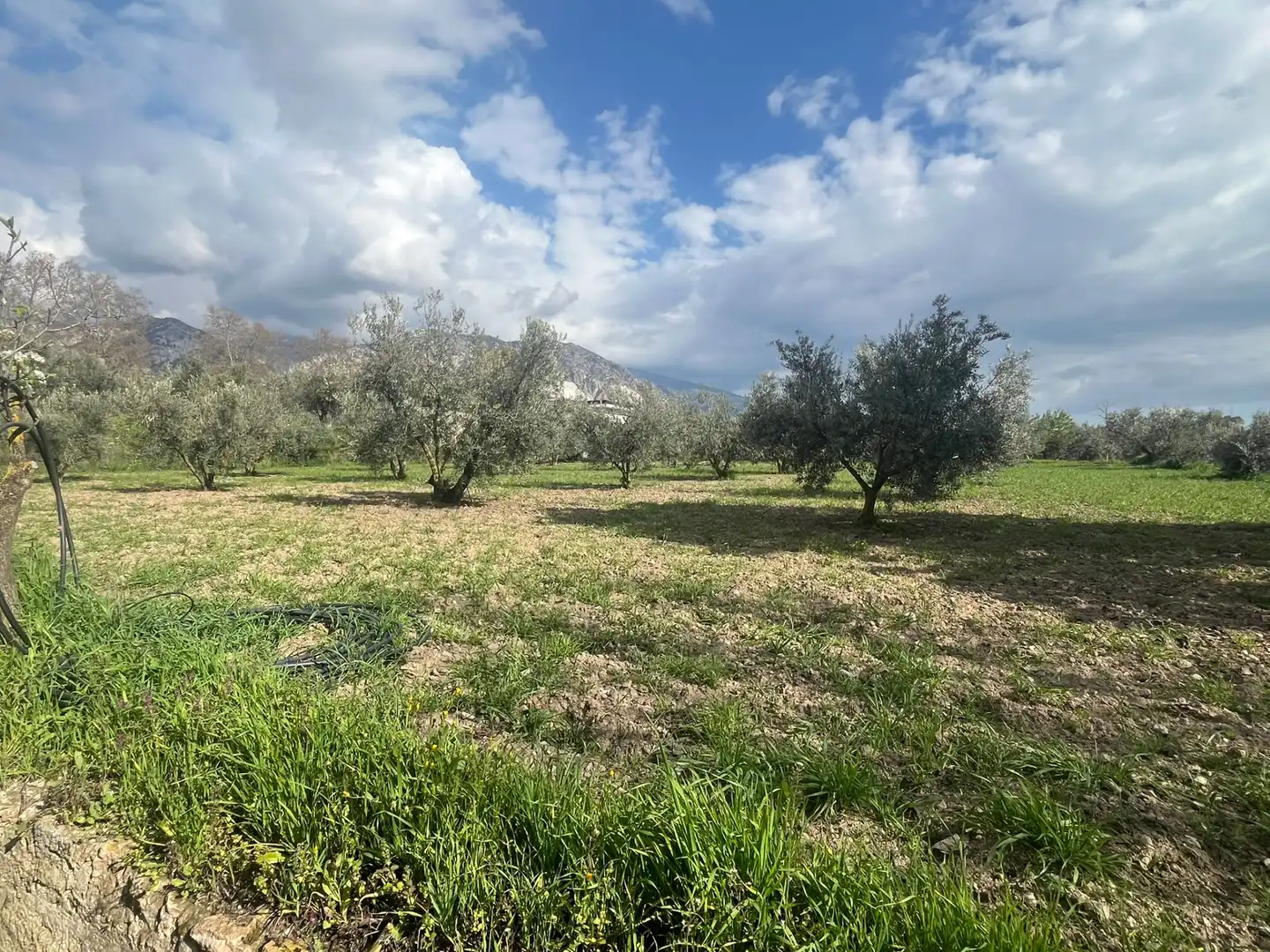 Land for sale in Dúrcal
