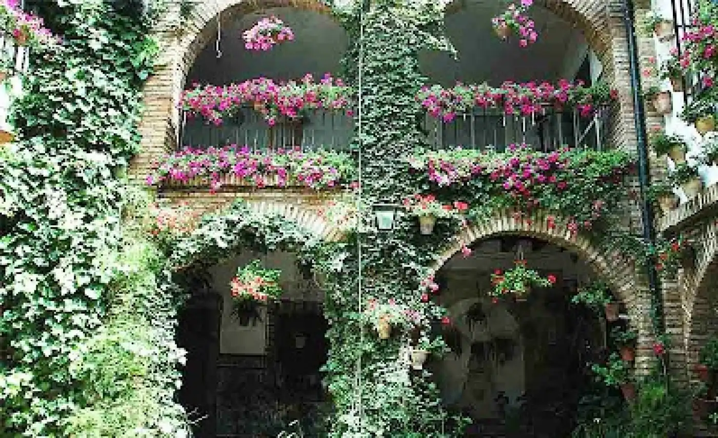 Jardí de Casa o xalet en venda en Córdoba