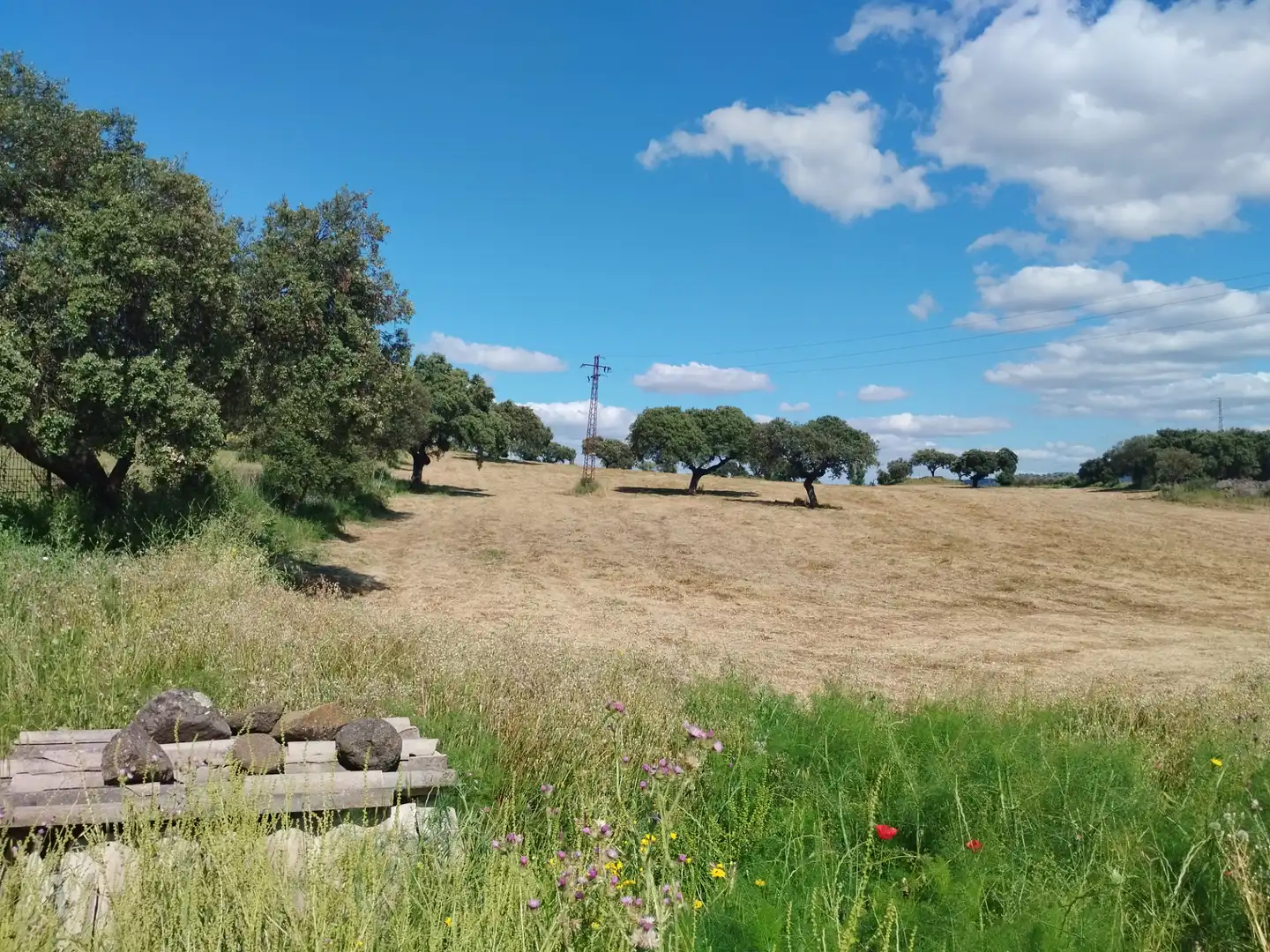 Terreni e lotti in vendita a Jerez de los Caballeros, imagen 15
