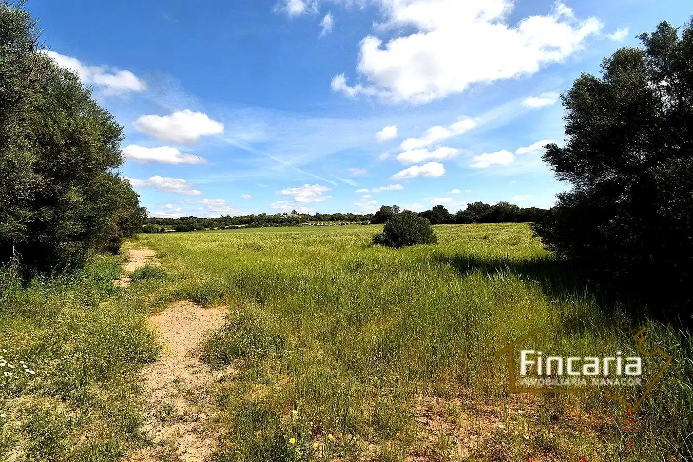 Lands and plots for sale in Ma-5120, imagen 2