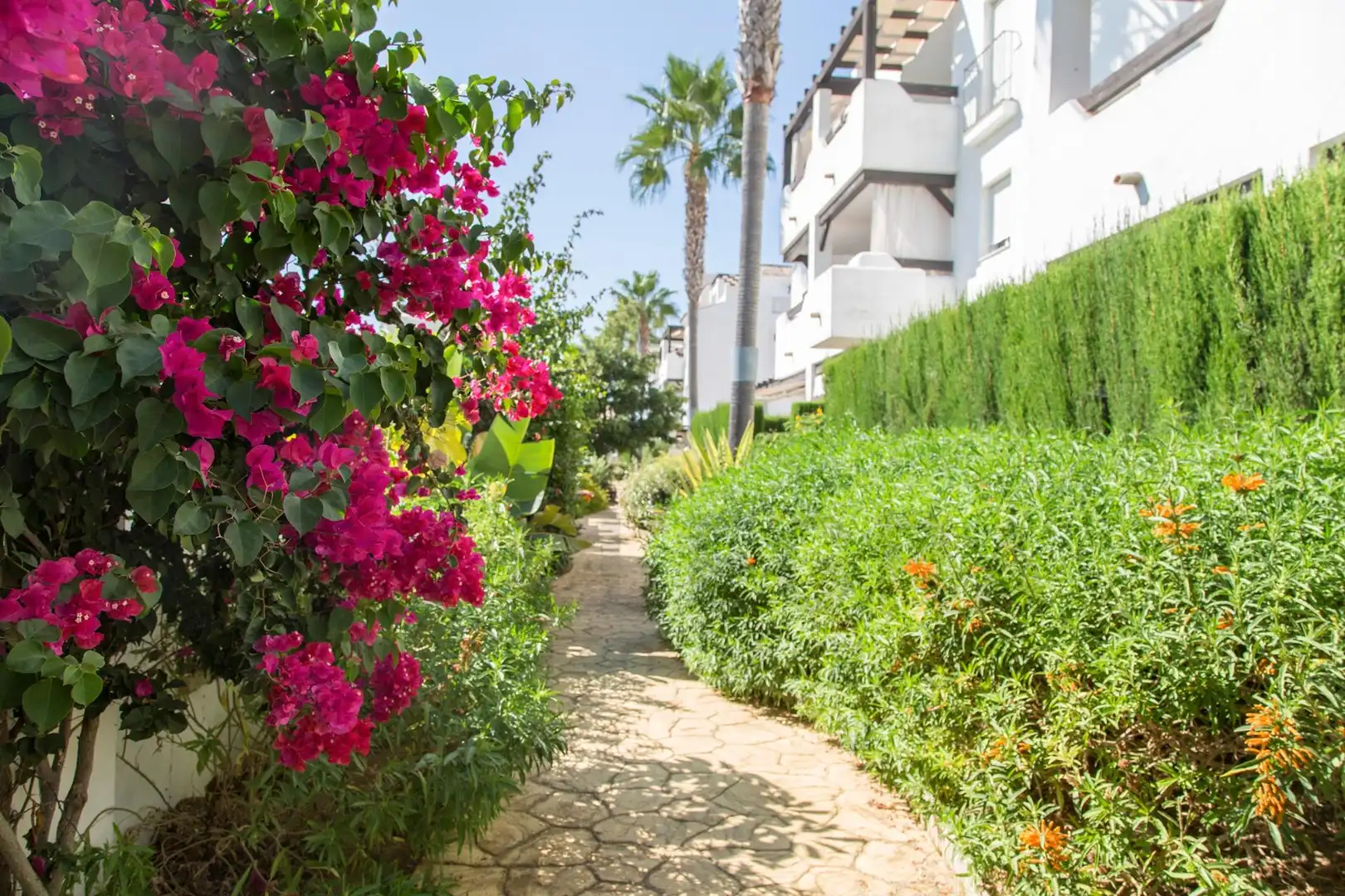 Jardín de Ático en venta en Rota con Aire acondicionado, Jardín privado y Terraza