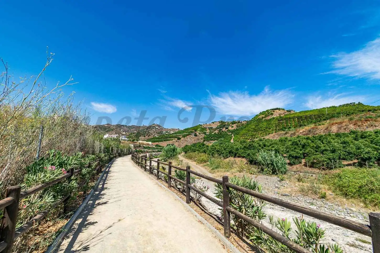 Terreny rústic en venda a Algarrobo pueblo, imagen 4