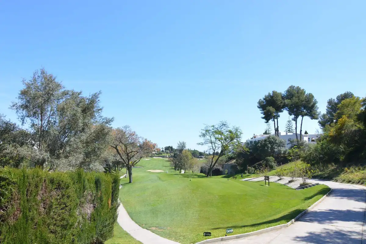 Vista exterior de Casa adosada en venta en Marbella con Jardín privado y Terraza