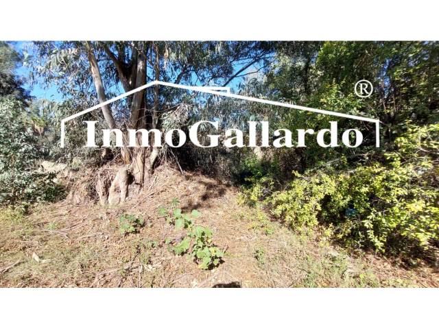 Terreno residencial en Venta en Jarazmín