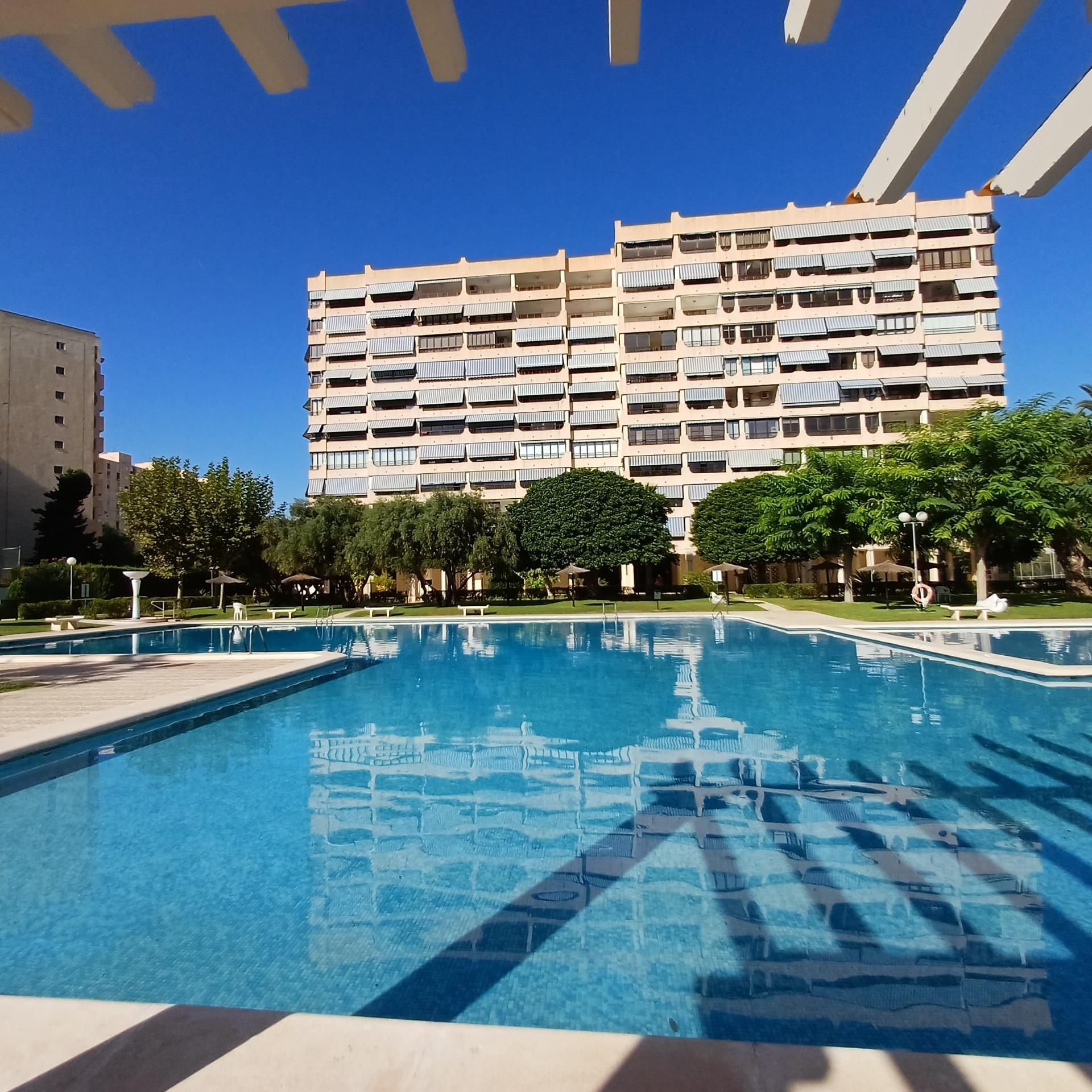 Swimming pool of Apartment for sale in Alicante / Alacant  with Air Conditioner, Private garden and Terrace