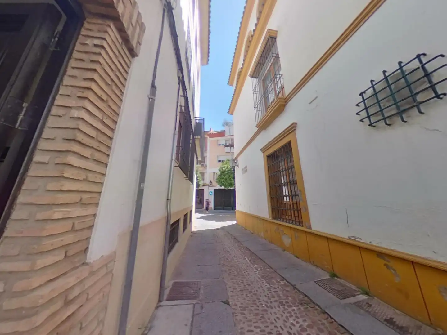 Vista exterior de Casa o chalet en venta en Córdoba con Aire acondicionado, Terraza y Trastero