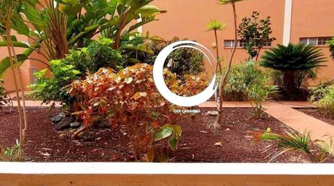 Foto 5 de Piso en venta en Los Silos, Santa Cruz de Tenerife