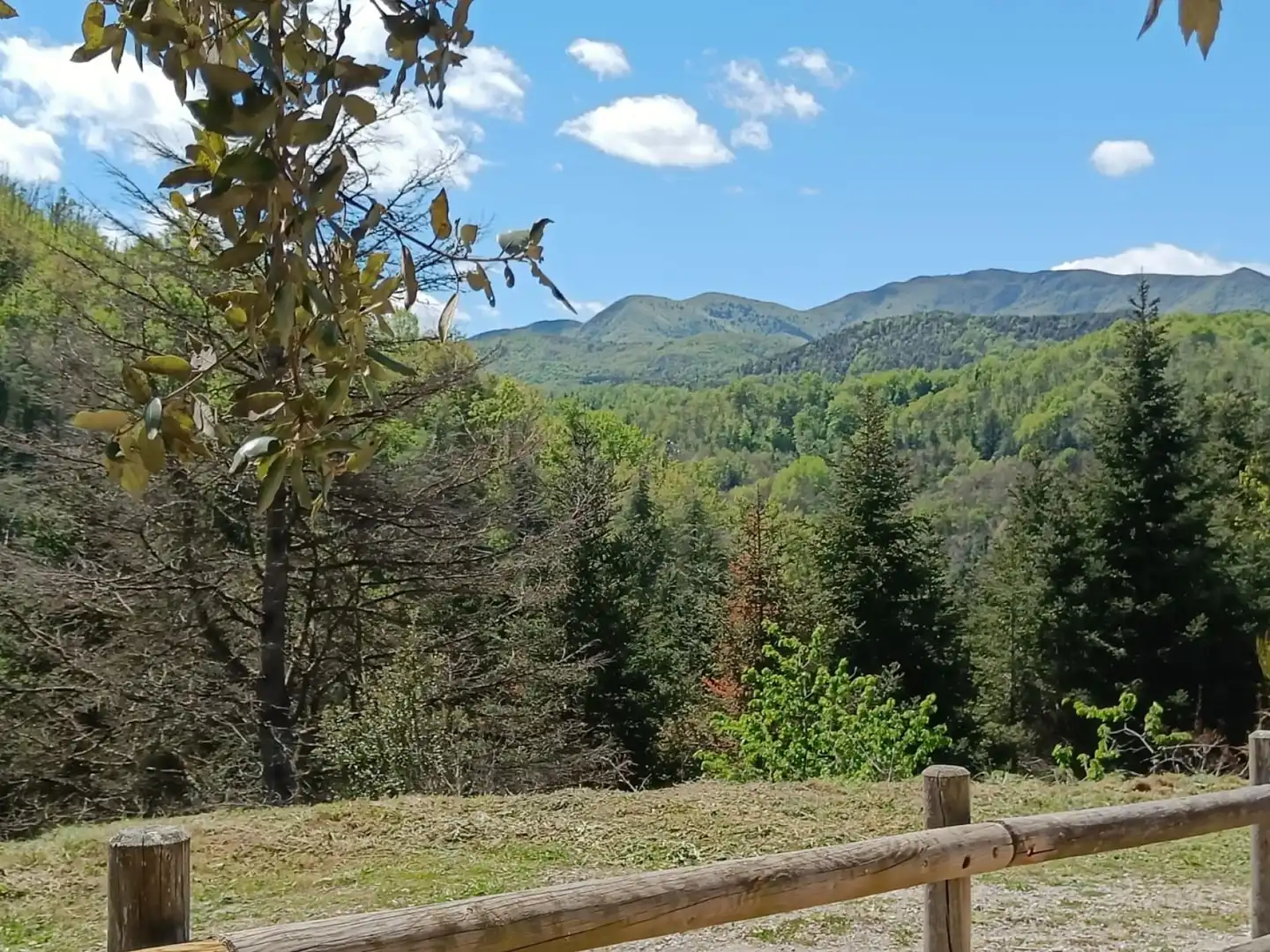 Wohnbaugrundstück zum Verkauf in Montseny 11, imagen 19