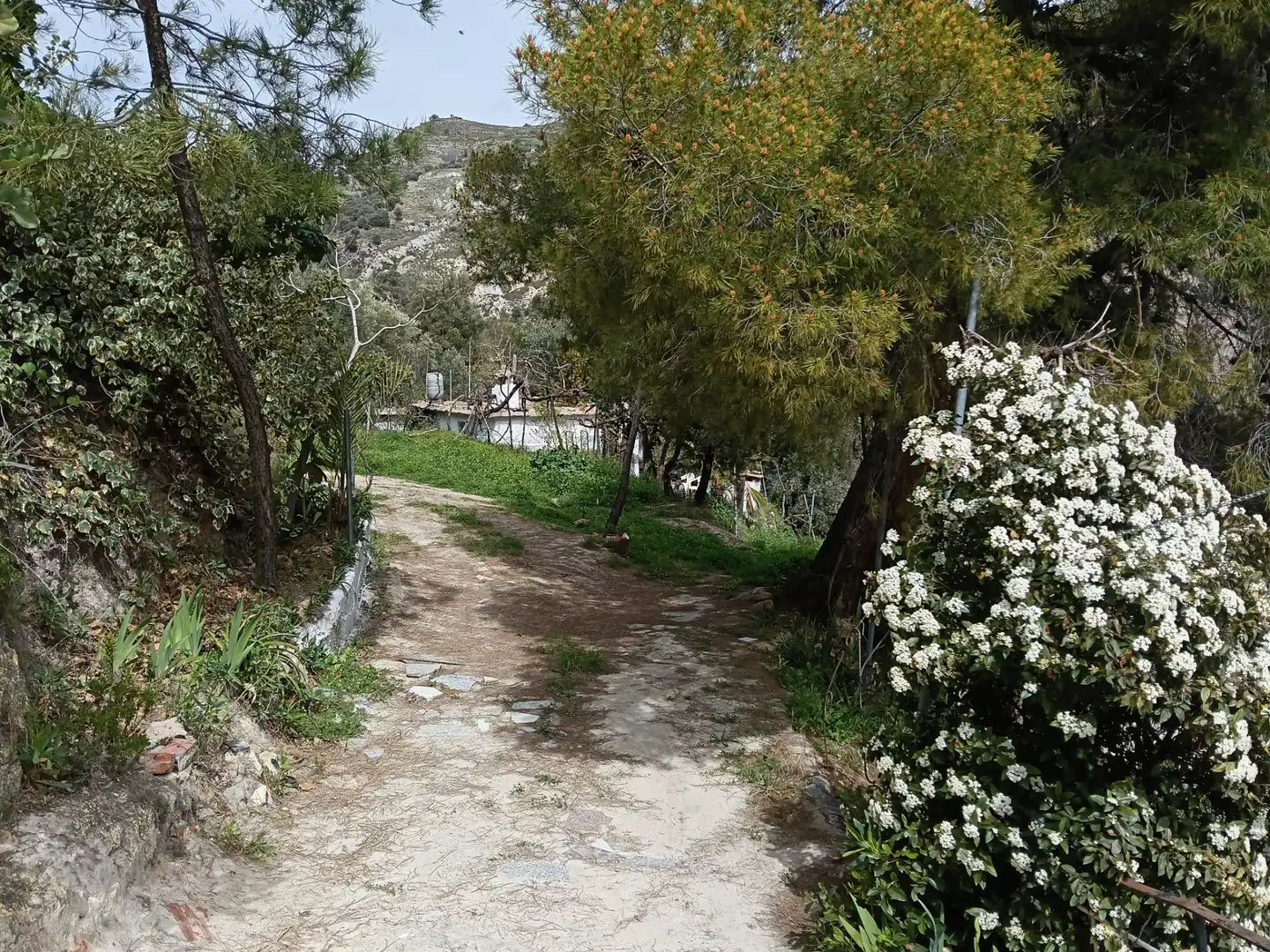 Terreni e lotti in vendita a Alpujarra de la Sierra, imagen 2
