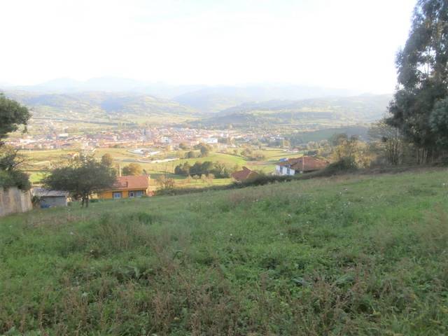 Terreno residencial en Venta en Grado