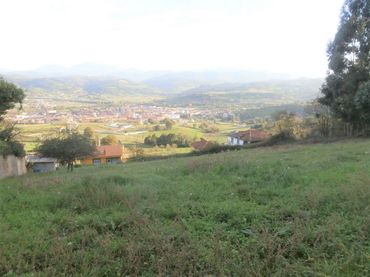 Terrain résidentiel à vendre à Grado