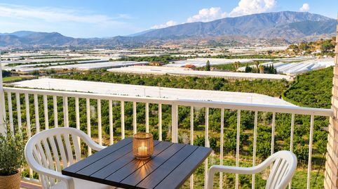 Espectacular piso de 3 dormitorios,con piscina y terraza, imatge 2