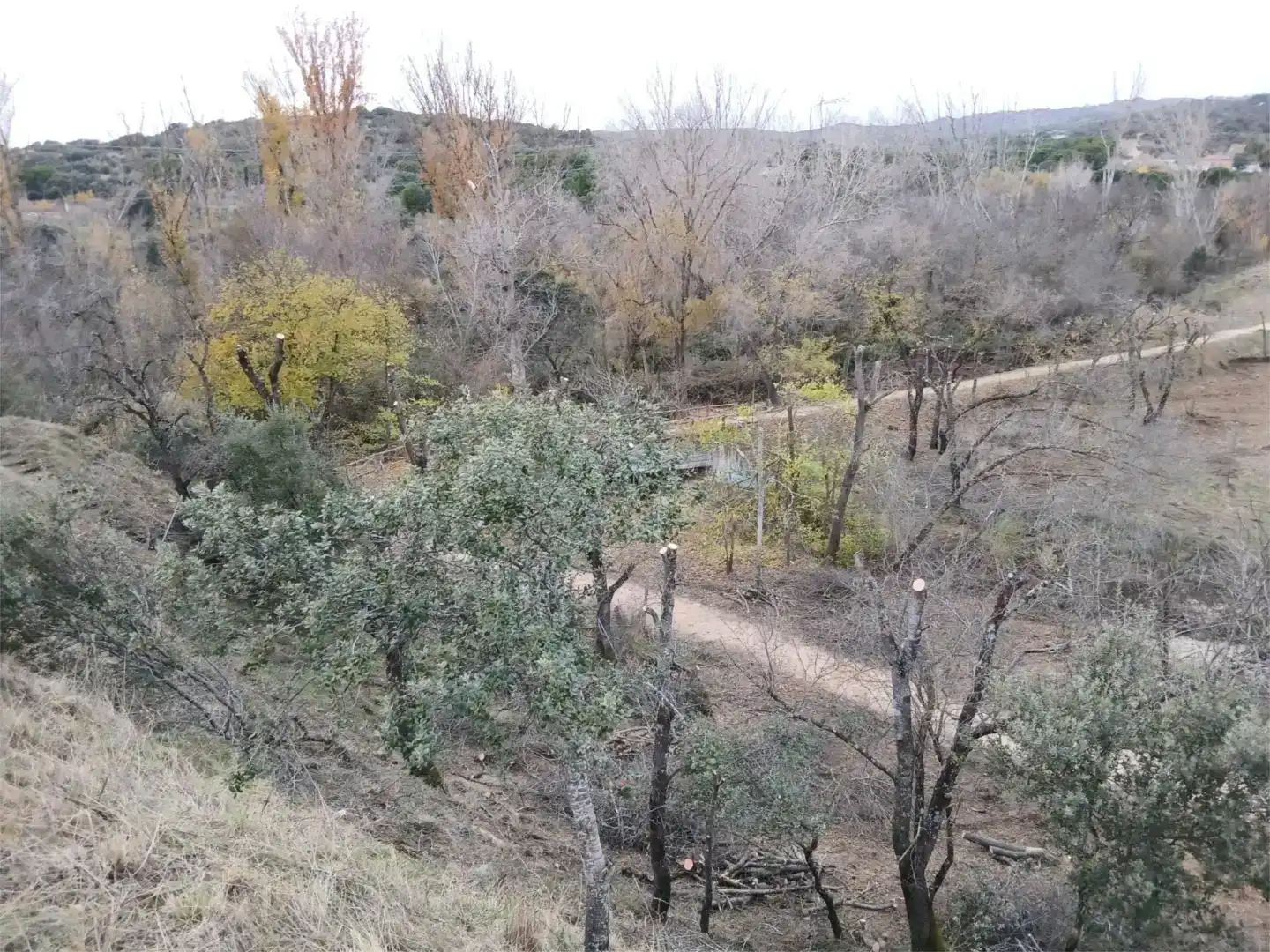 Finca rústica en venda en Las Rozas de Madrid