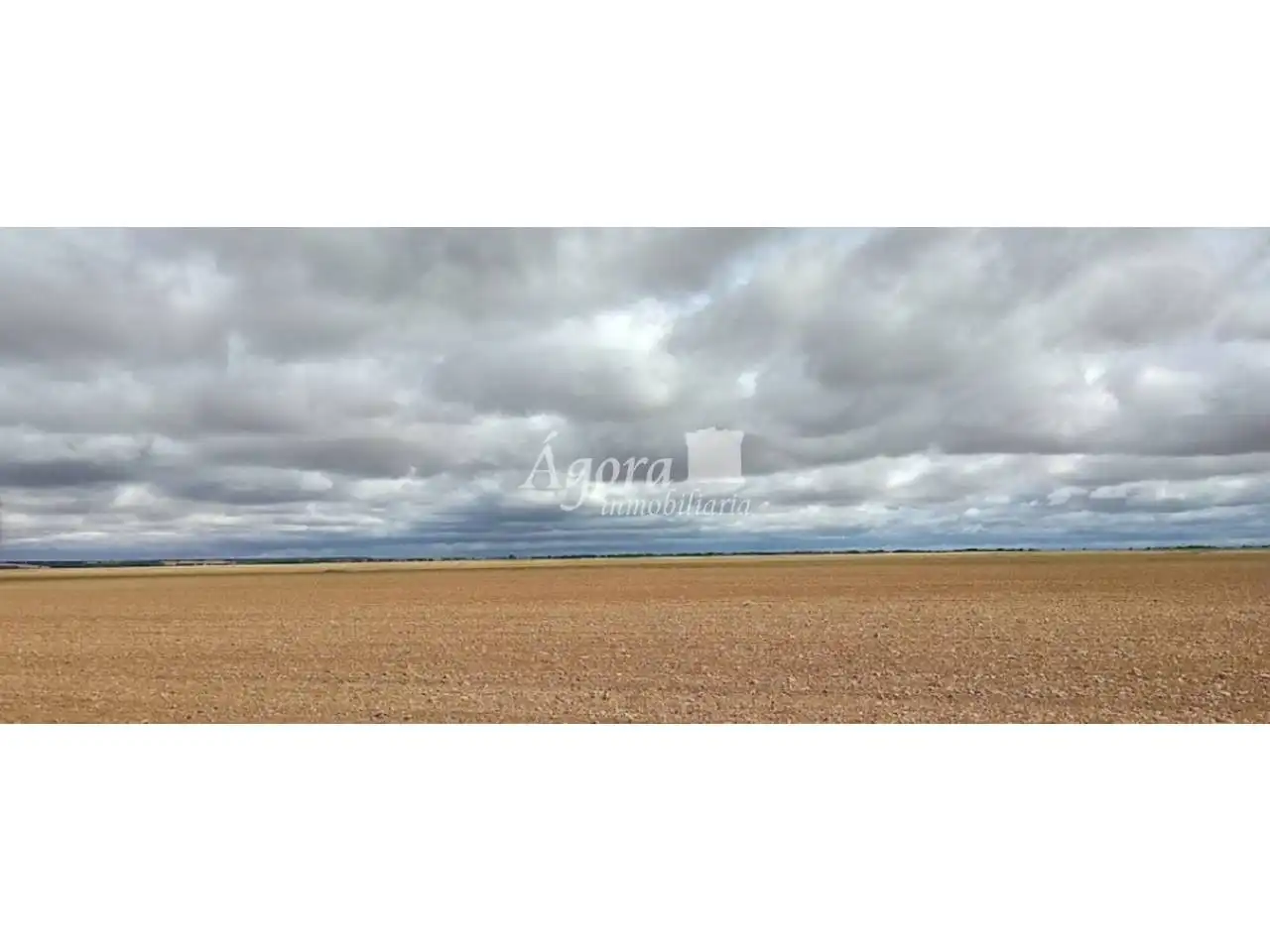 Land for sale in Cervatos de la Cueza