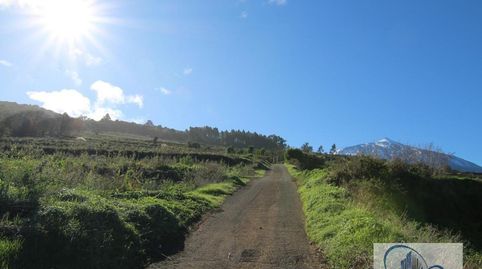 Foto 2 de Finca rústica en venta en Icod El Alto, Los Realejos