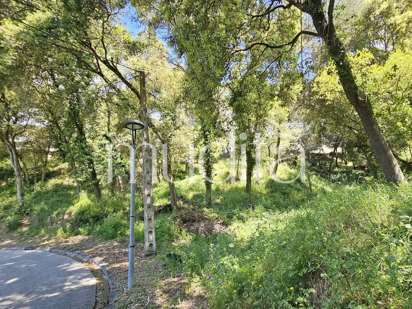 Residential land for sale in Sant Pere de Vilamajor, imagen 9