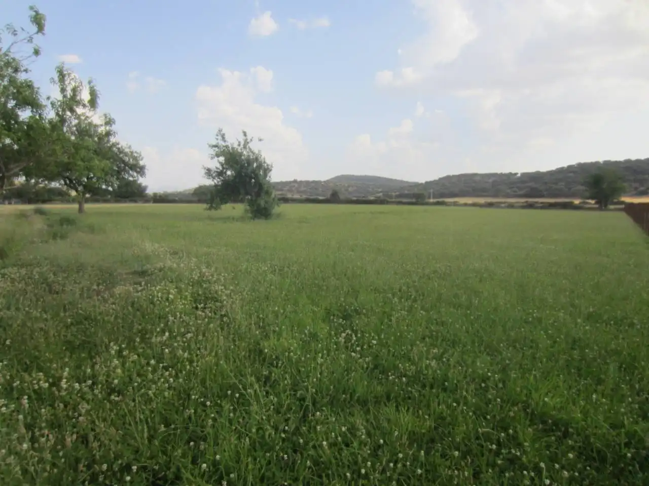 Terreno rustico in vendita a Calle RONDA DEL MEDIODIA, imagen 32