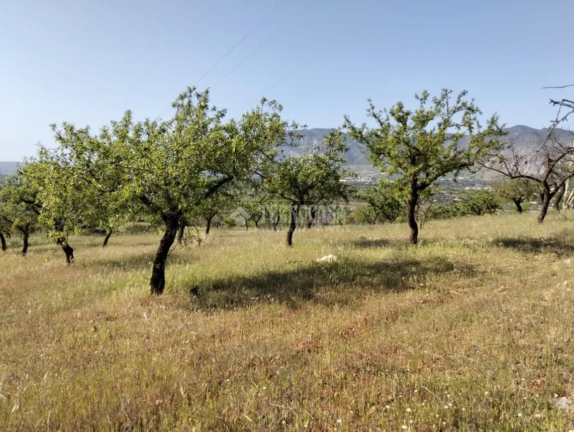 Rural land for sale in Dúrcal, imagen 26