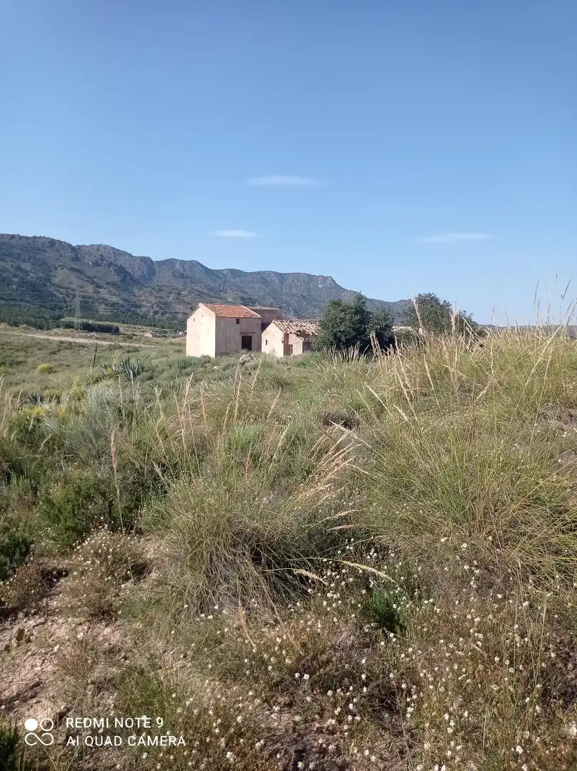 Terrains et parcelles à vendre à Pedanías Centro, imagen 15
