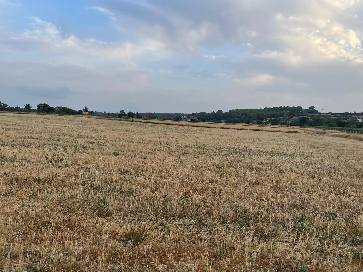 Terrain rustique à vendre à Plaça de l'Església Vella 13, imagen 3