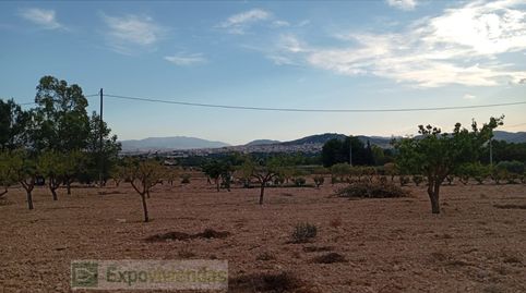 Campo en venta a 5 km de Yecla., immagine 2