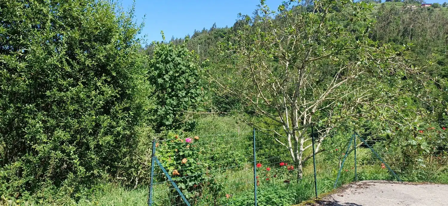 Casa o xalet en venda a Colunga