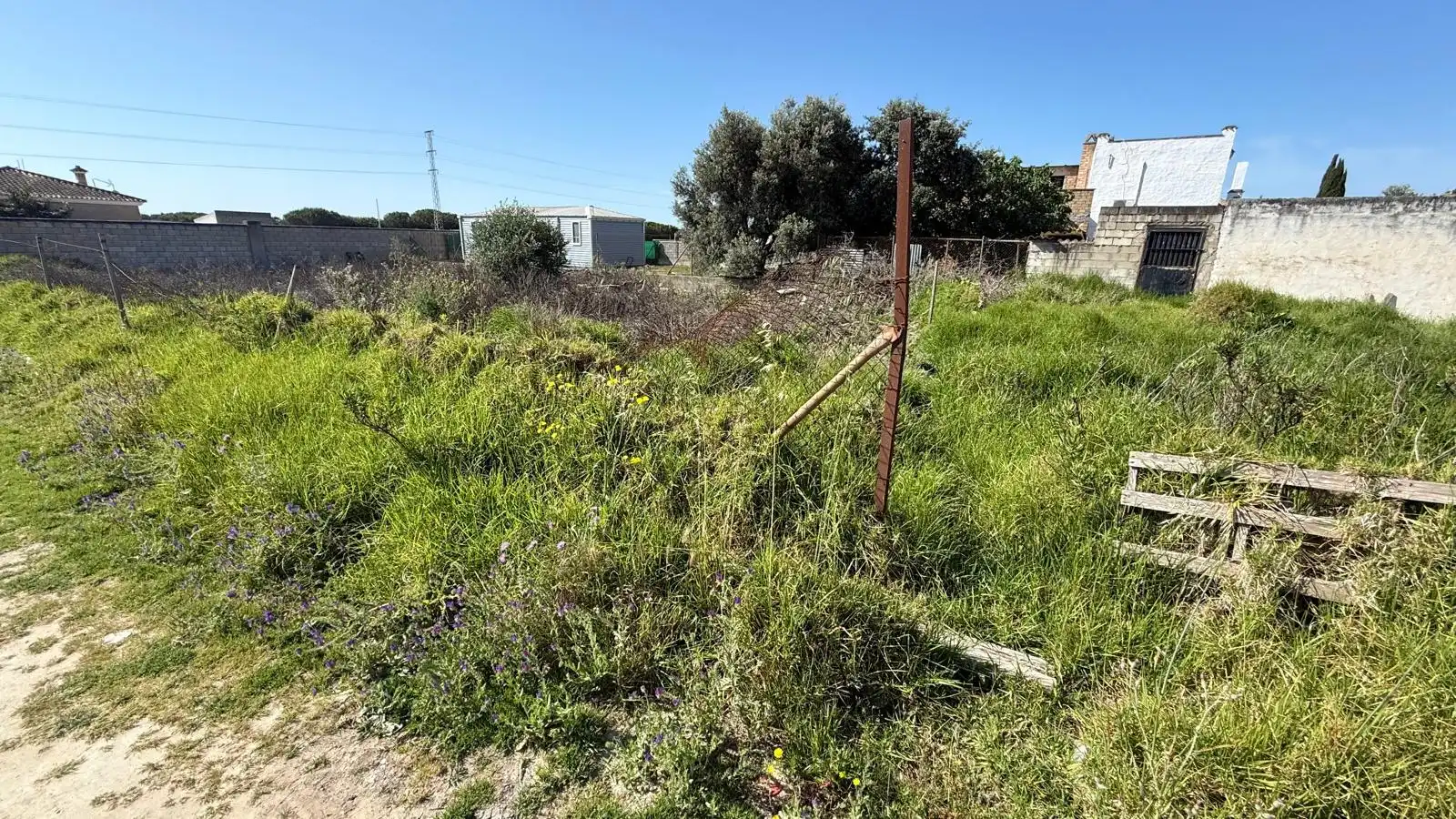 Rural land for sale in Ctra Sanlúcar - Cuatro Pinos, imagen 2