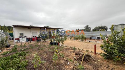 Foto 2 de Finca rústica en venta en Pedanías Norte, Utrera