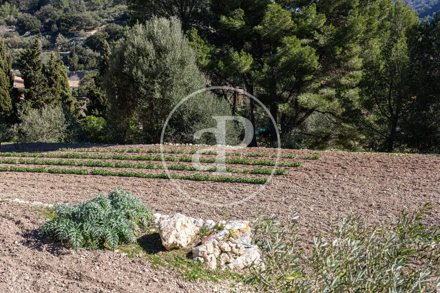 Residential for sale in Puigpunyent
