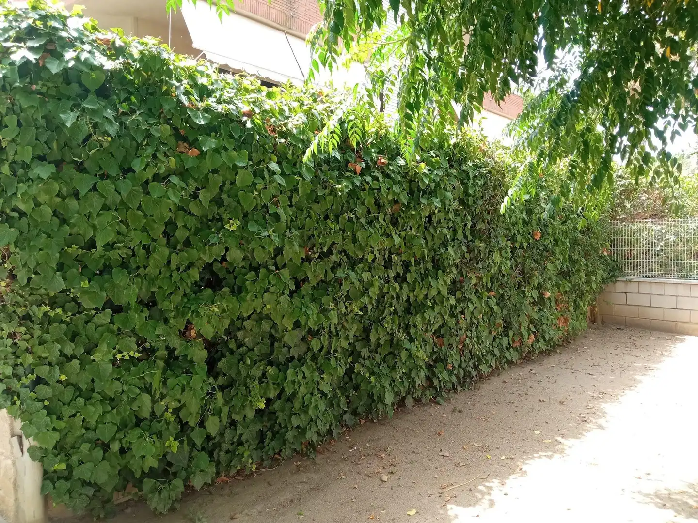 Exterior view of Flat for sale in Salou  with Heating, Private garden and Swimming Pool