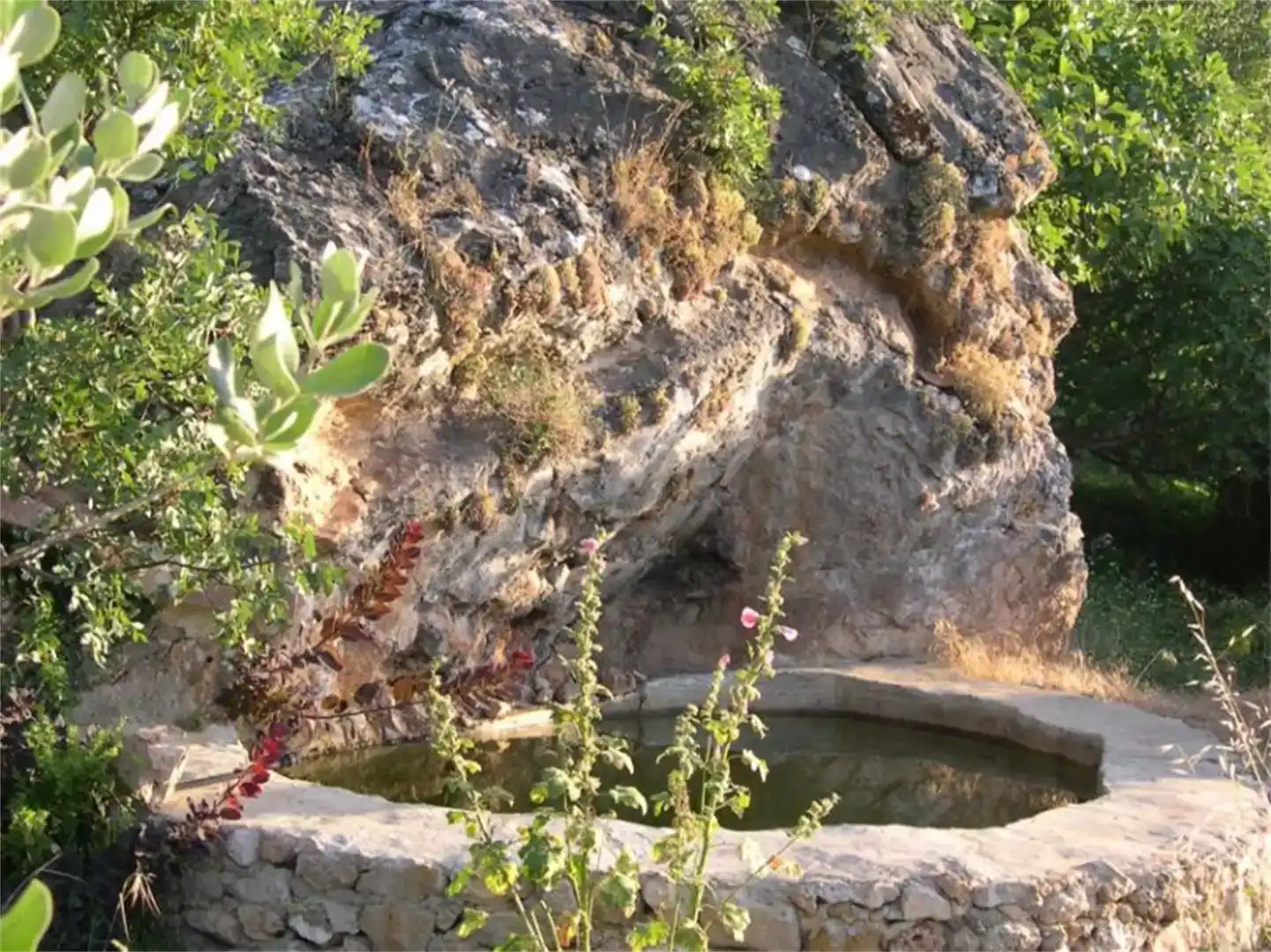 Jardí de Finca rústica en venda en Yeste amb Jardí privat, Traster i Piscina