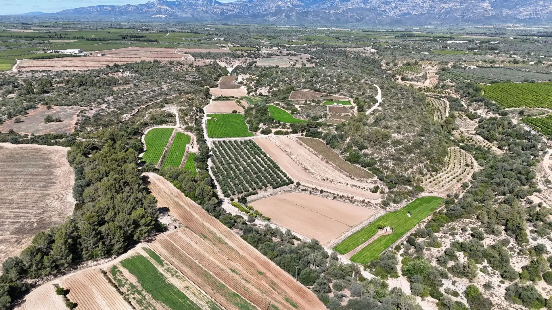 Terreno en venta en Tortosa