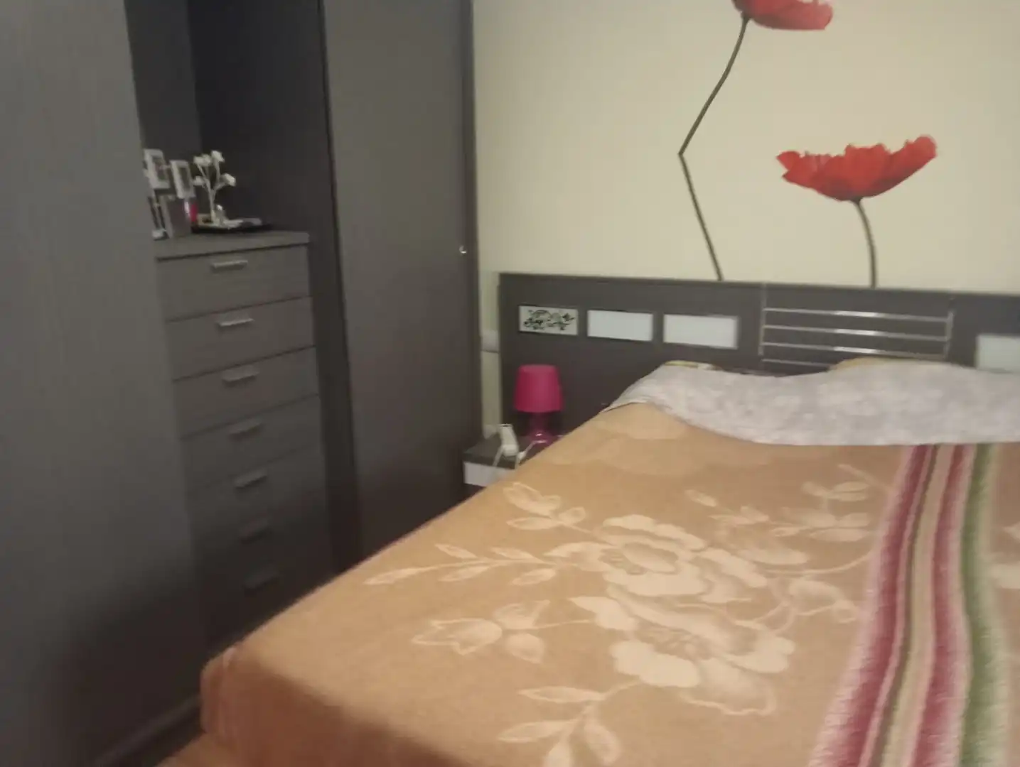 Appartement compact à vendre à Centro, imagen 6