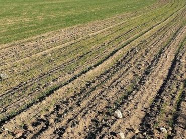 Terreno rustico in vendita a CM-412a 32D