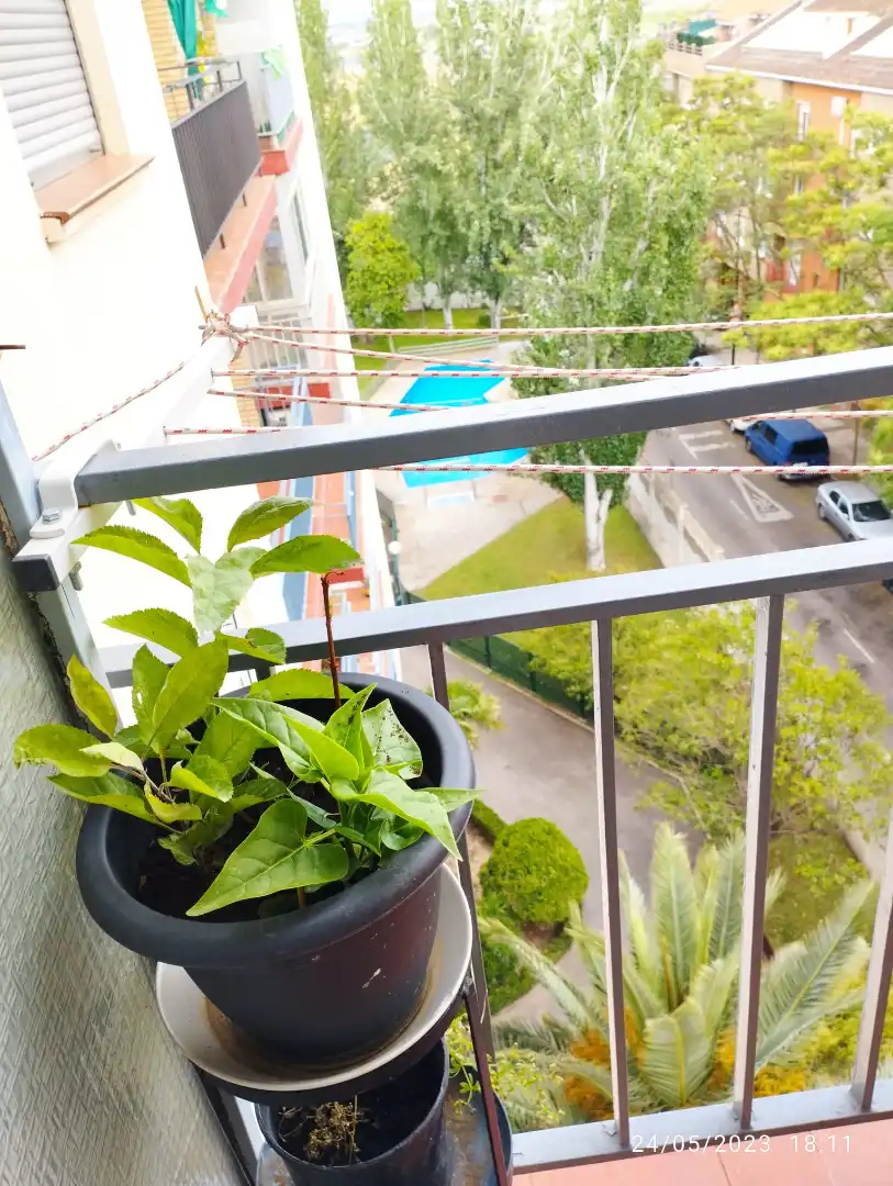 Terrassa de Pis de lloguer en San José