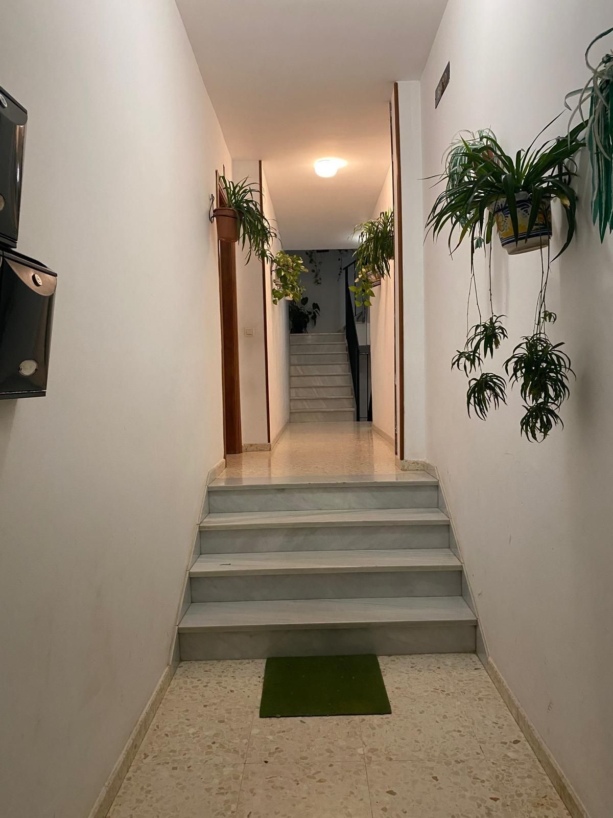 Pis en venda en Marchena amb Terrassa i Balcó