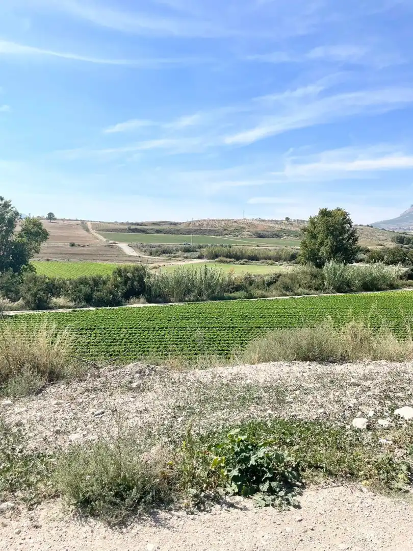 Terrenos y solares en venta en Vélez-Blanco, imagen 4