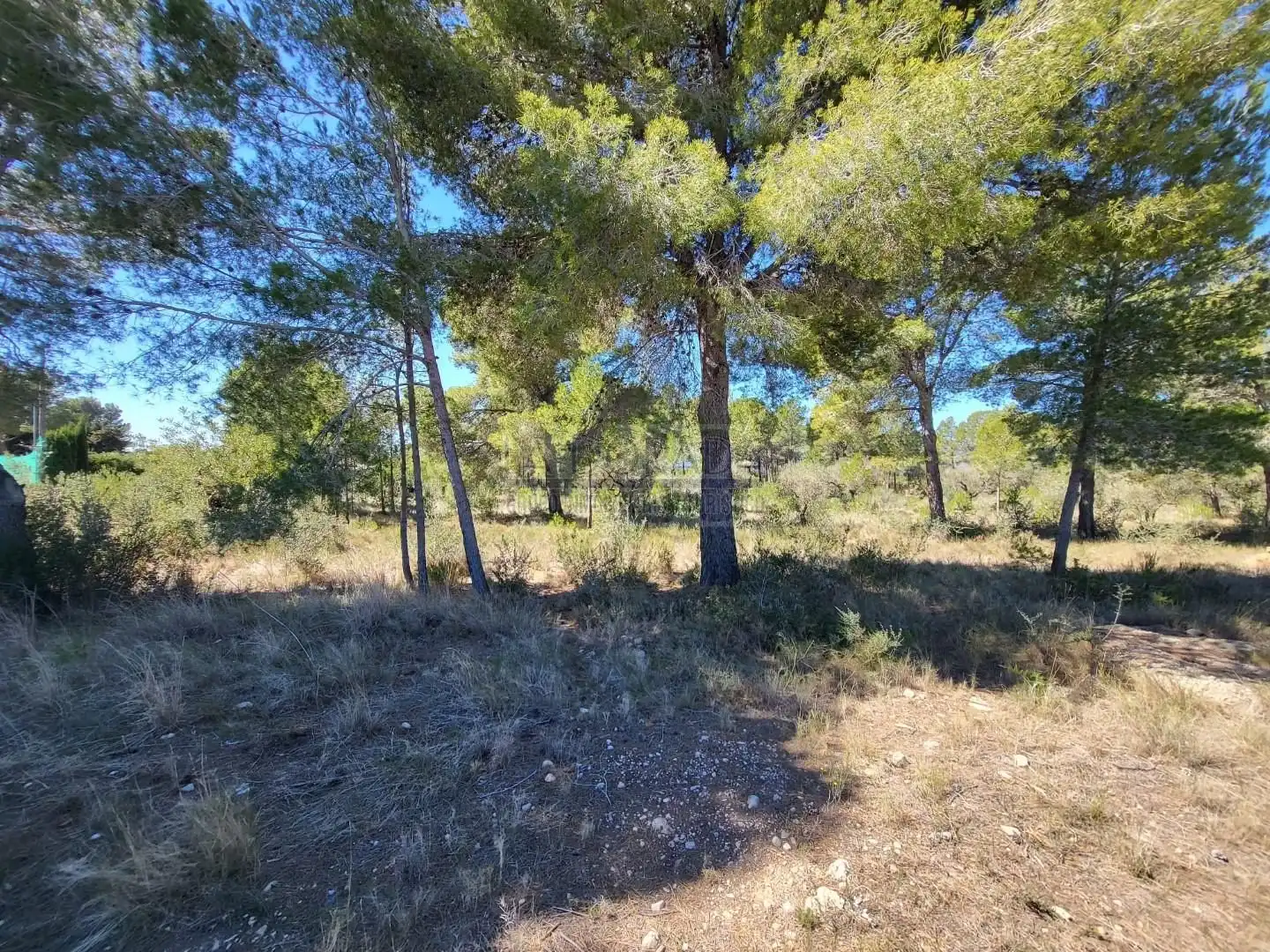 Terreny residencial en venda a Poble, imagen 6