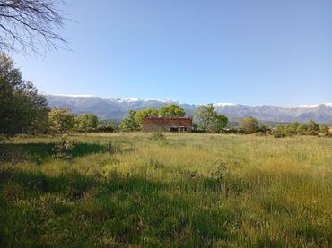 Terreno rústico en venta en Villanueva de la Vera