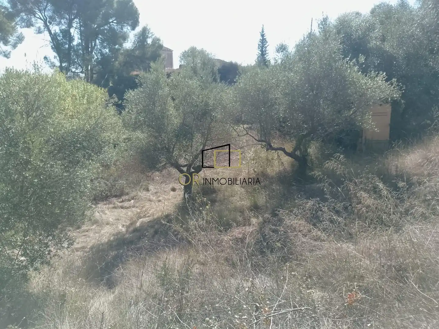 Casa con giardino in vendita a Mediona, imagen 32