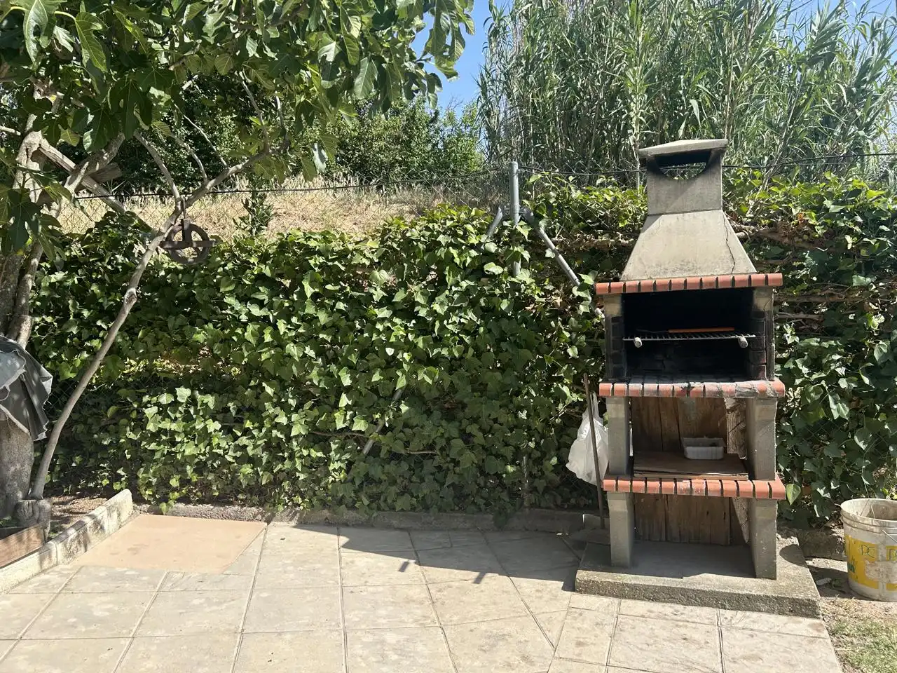 Garden of Country homes for sale in Corella  with Private garden, Terrace and Storage room