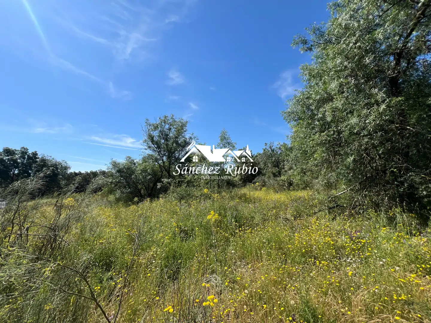 Terreno residencial en venta en Las Matas  - Peñascales, imagen 2