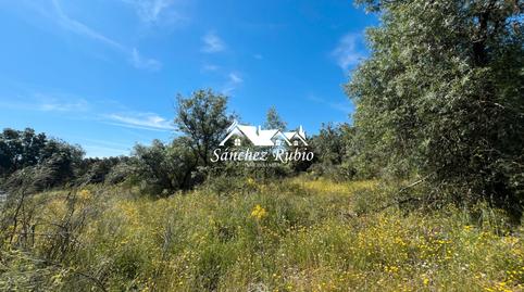 Foto 2 de Residencial en venta en Las Matas  - Peñascales, Las Rozas de Madrid