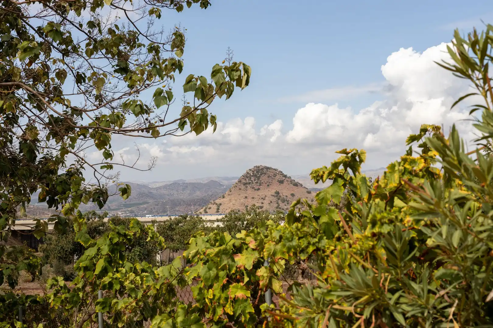 Vista exterior de Finca rústica en venda en Málaga amb Terrassa