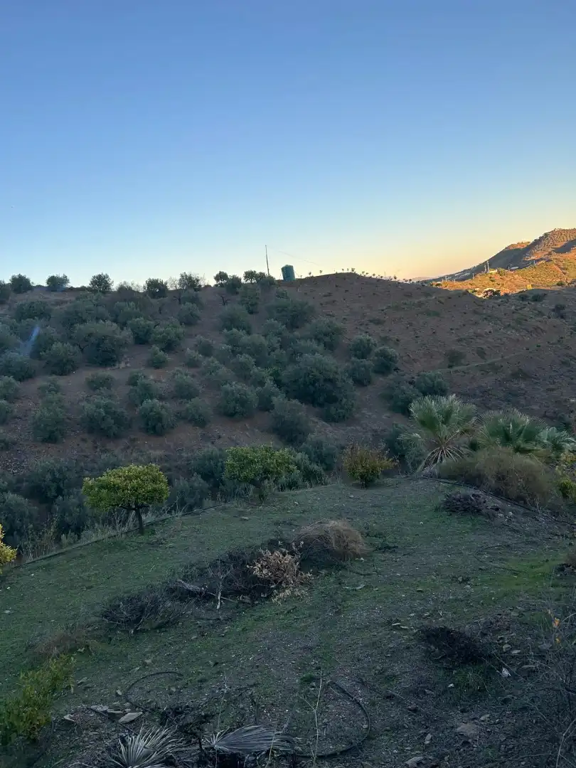 Finca rústica en venda en Macharaviaya amb Terrassa, Traster i Piscina