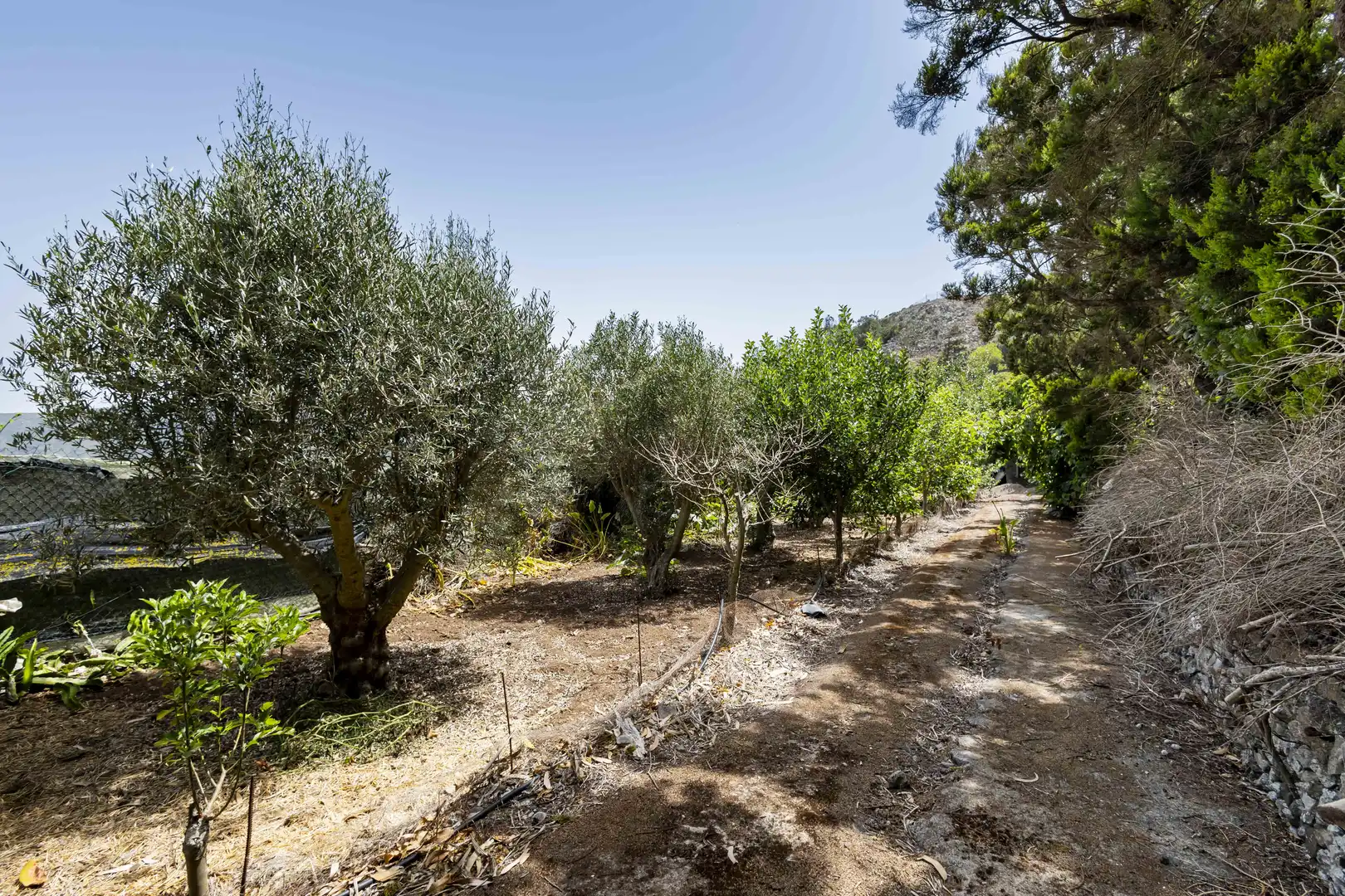 Rural land for sale in Tegueste, imagen 30